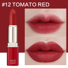 Load image into Gallery viewer, SACE LADY 12 Colors Matte Lipstick Makeup Waterproof Nude Lip Stick Make Up Long Lasting Red Mate Lip Beauty Sexy Brand Cosmetic